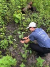 Sustainable land use for cutlines 8.26.19.jpg
